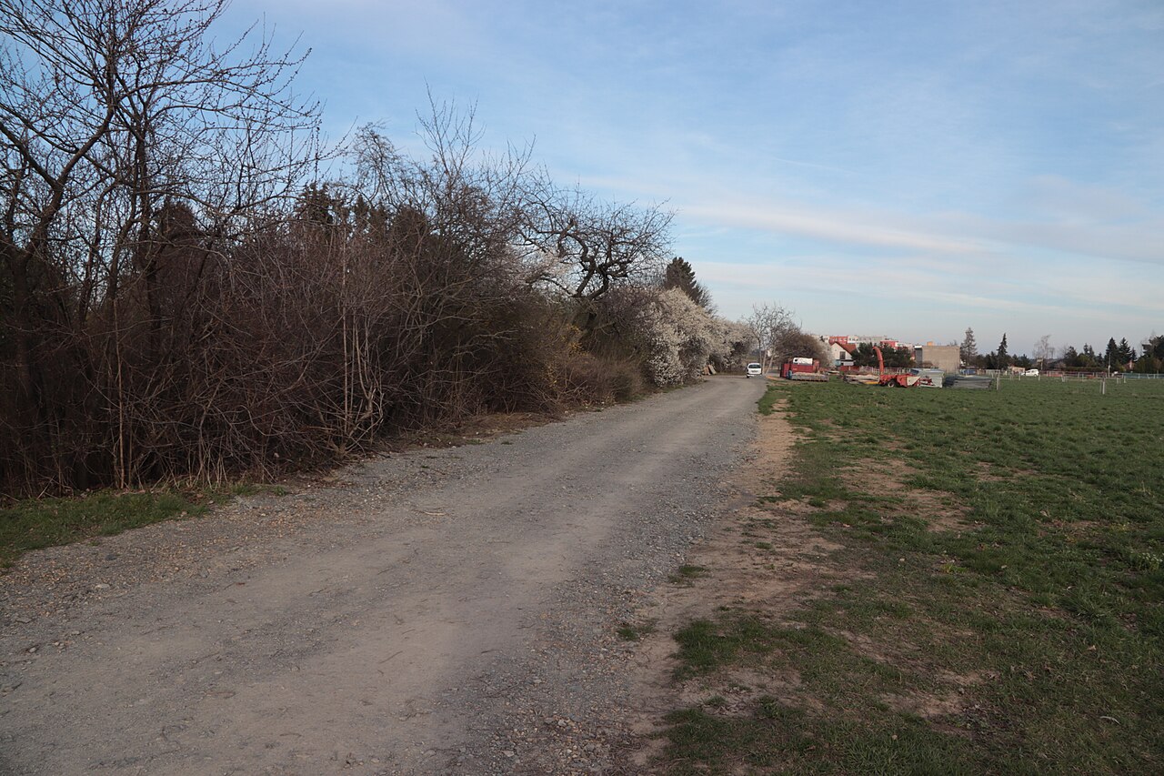 Today's view – Bodláková
