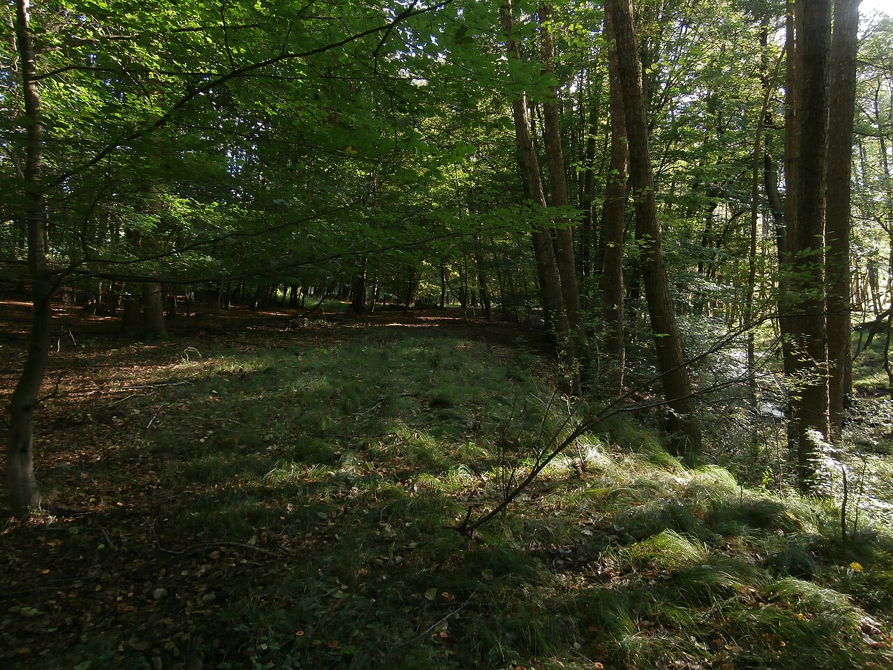Today's view – Dehtárská