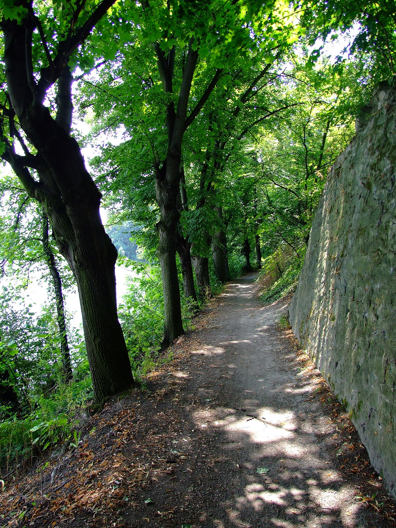 Dzisiejszy widok – Dvořákova stezka