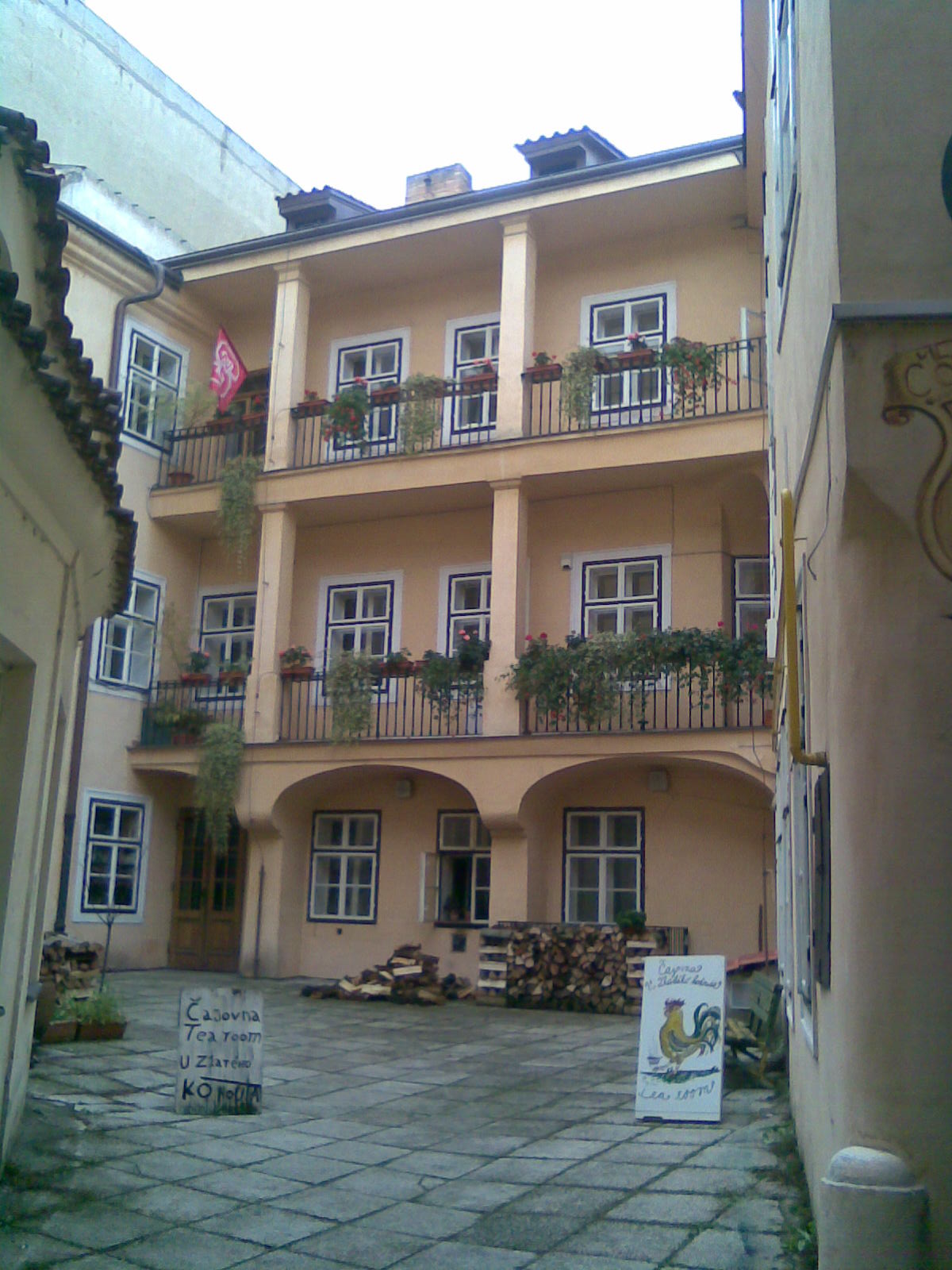 Dnešný pohľad – North Carolina State University – The Prague Institute