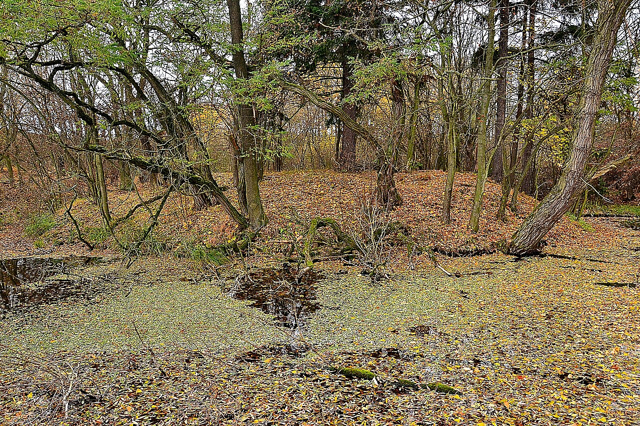 
<span>Budiš</span>
