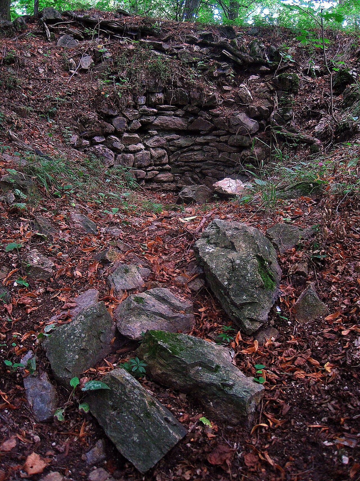 
<span>Bukovina</span>
