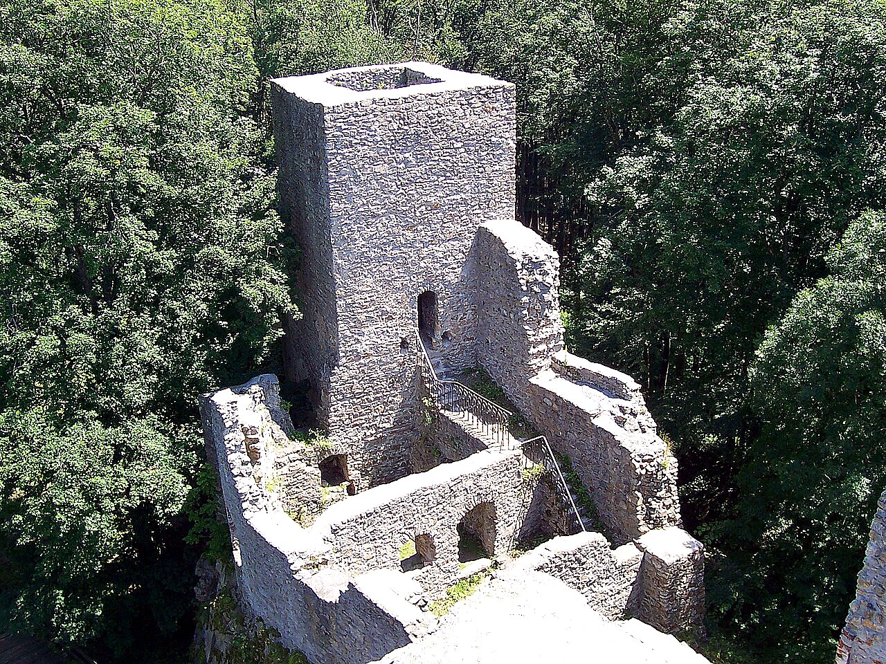
<span>Choustník</span>
