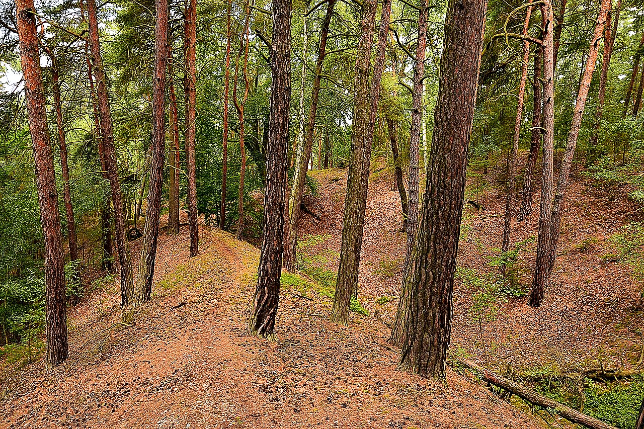 
<span>Hlavačov (Lužná)</span>

