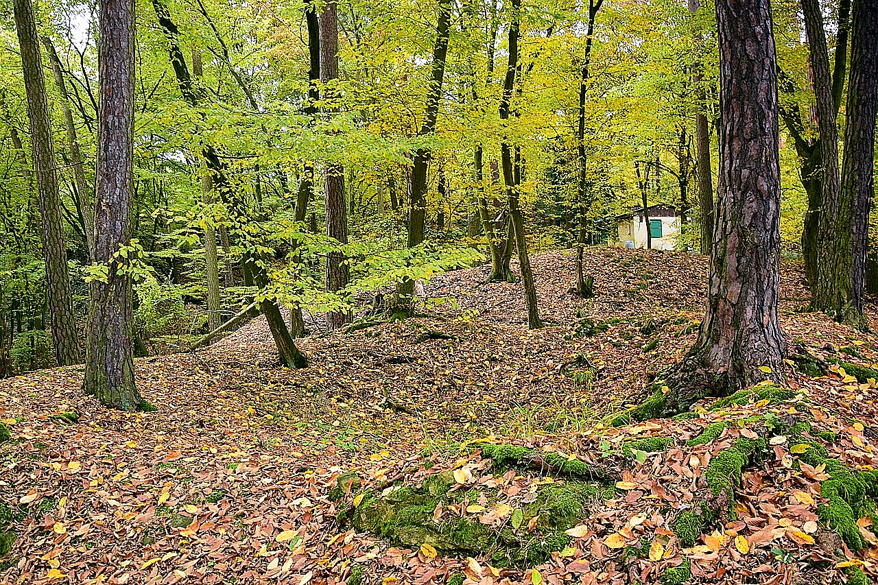 
<span>Hrad u Čtyřkol</span>
