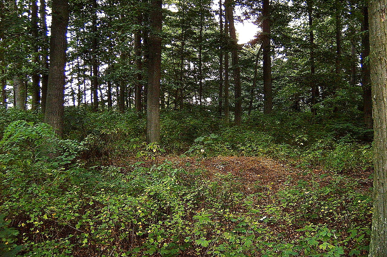 
<span>Kardašova Řečice</span>
