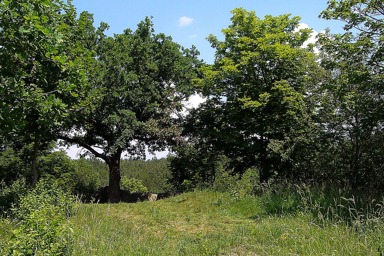 
<span>Komberk</span>
