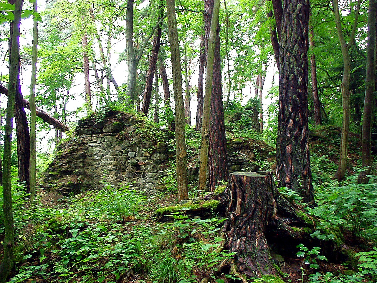 
<span>Křikava</span>

