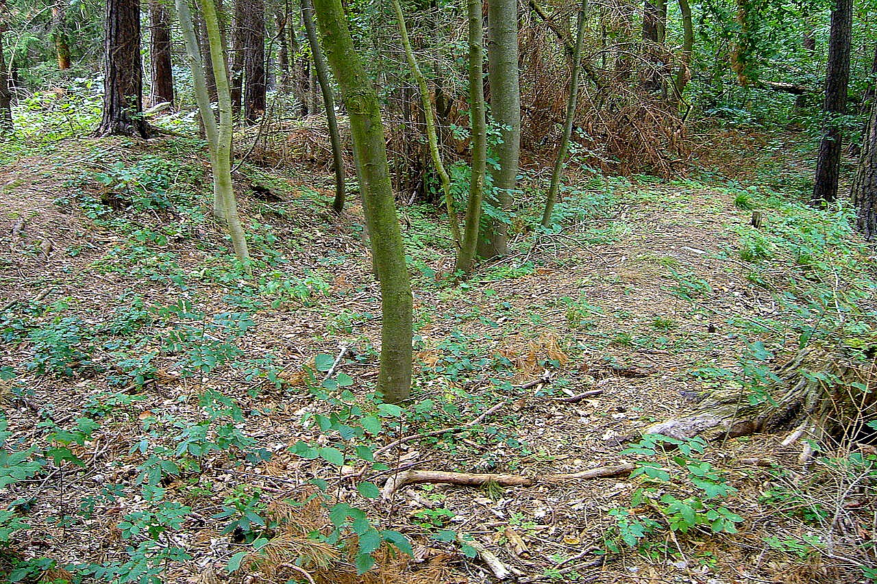 
<span>Ostrolovský Újezd</span>
