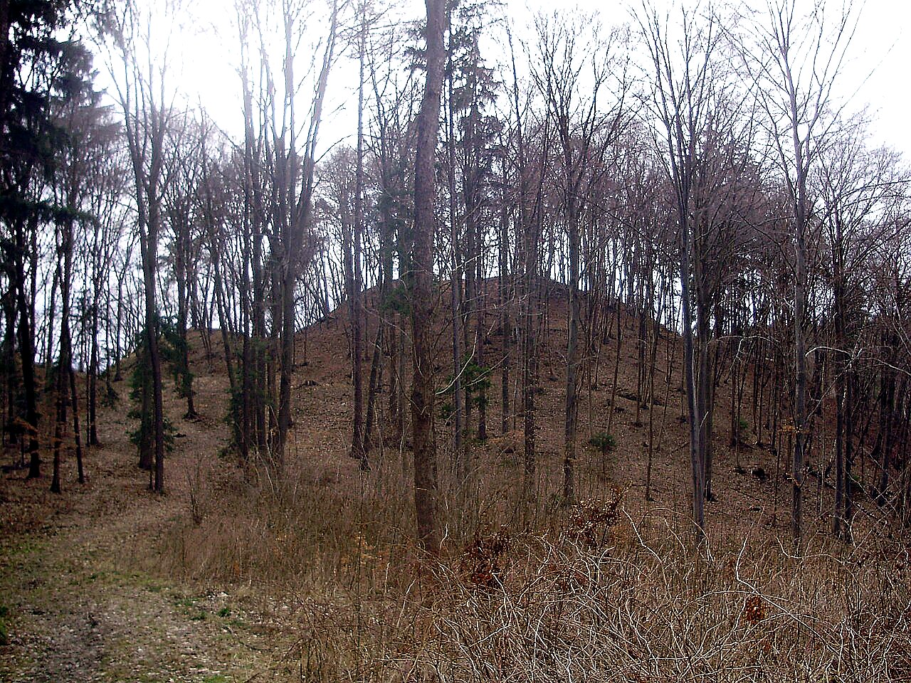 
<span>Stagnov</span>

