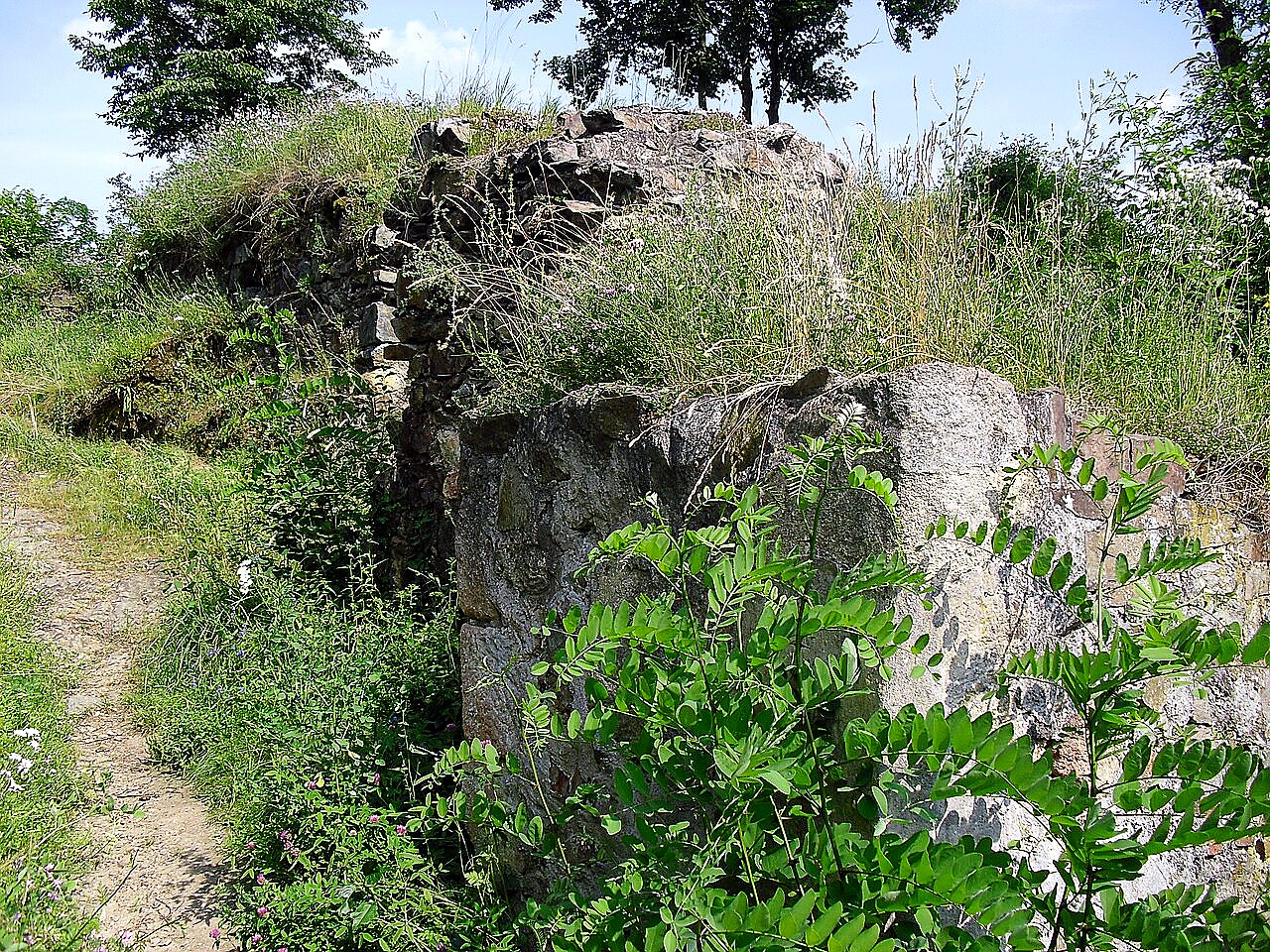 
<span>Věžka</span>
