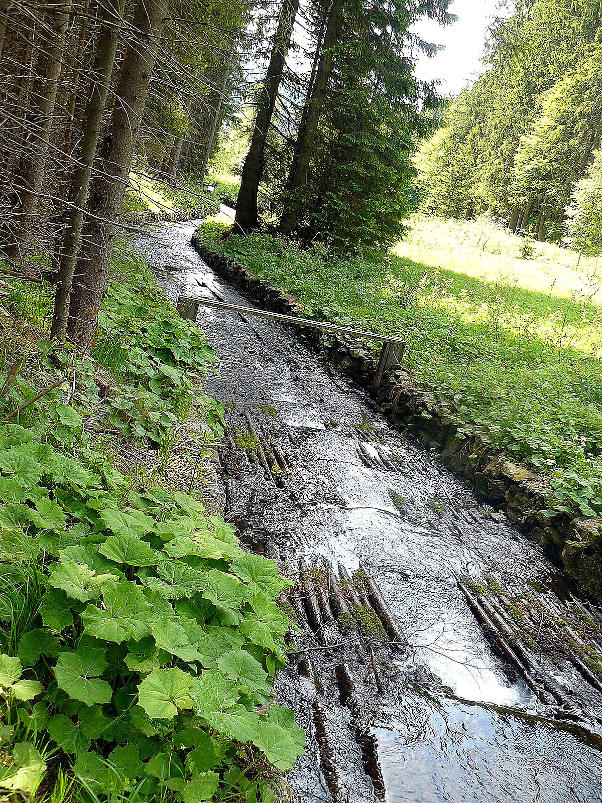 
<span>Plavební kanál Kaplického potoka</span>
