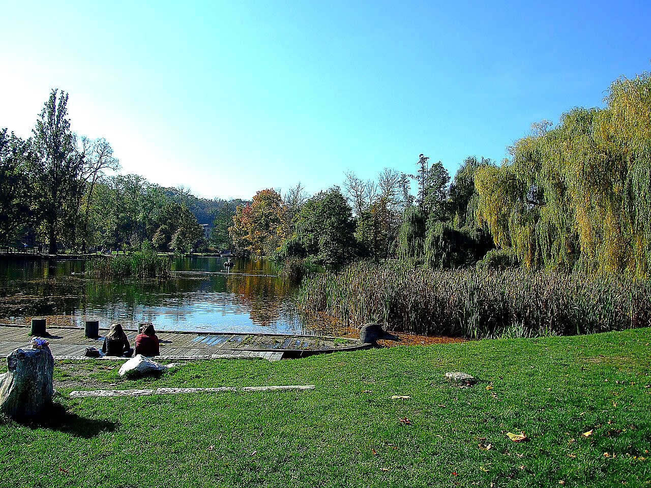 
<span>Královská obora</span>
