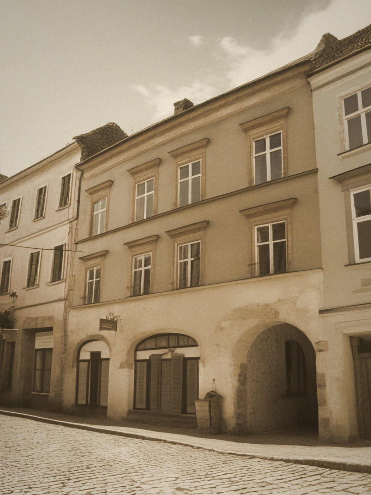 Wygląd historyczny – Barvířská 1