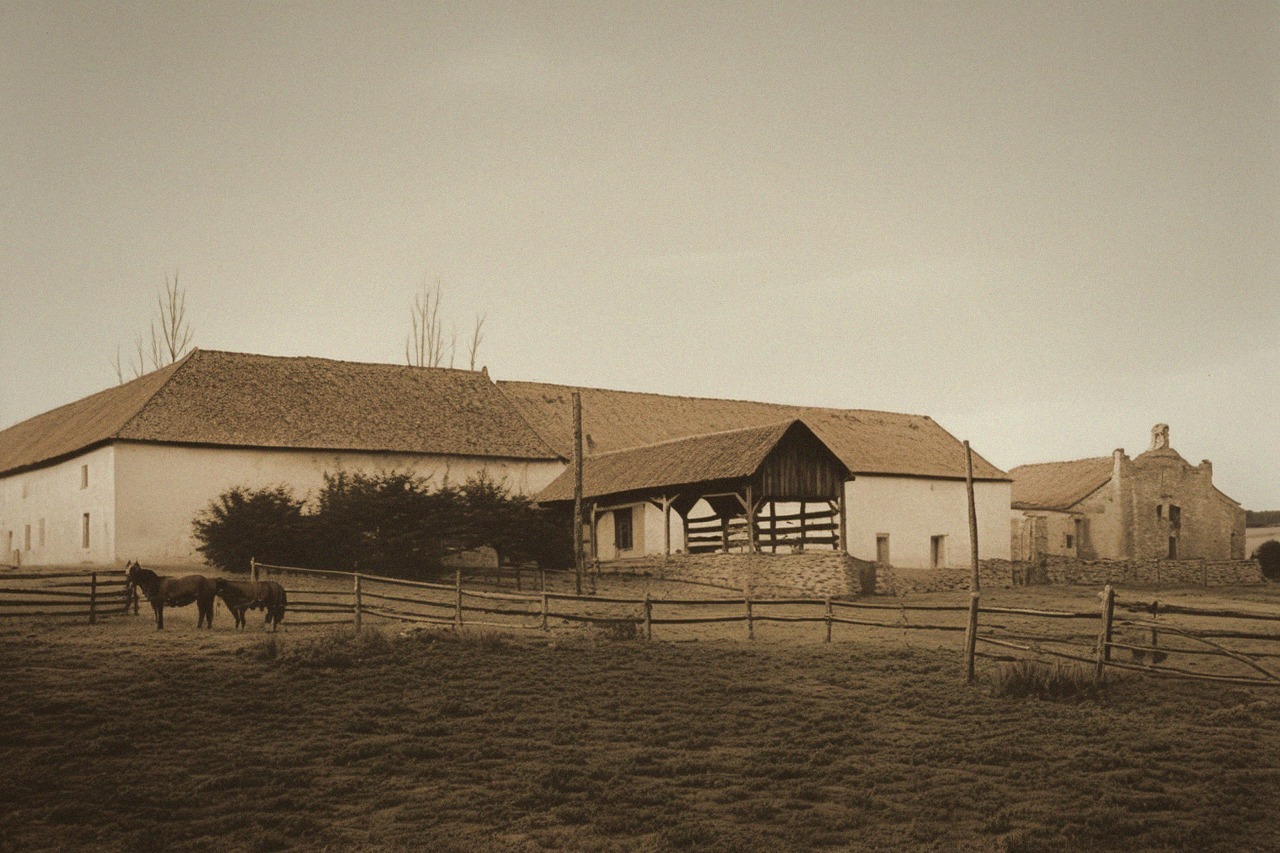 Historical appearance – Grejnarov