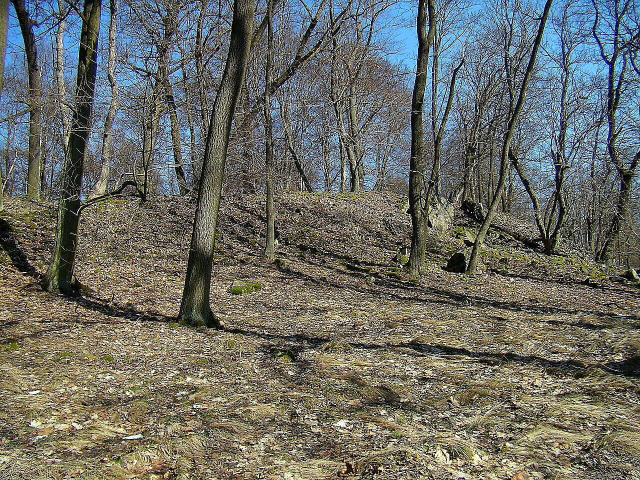 Březina (hradiště)