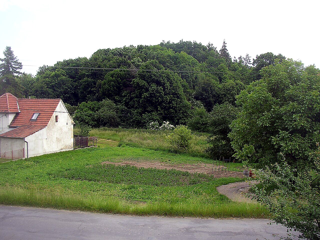 Homolka