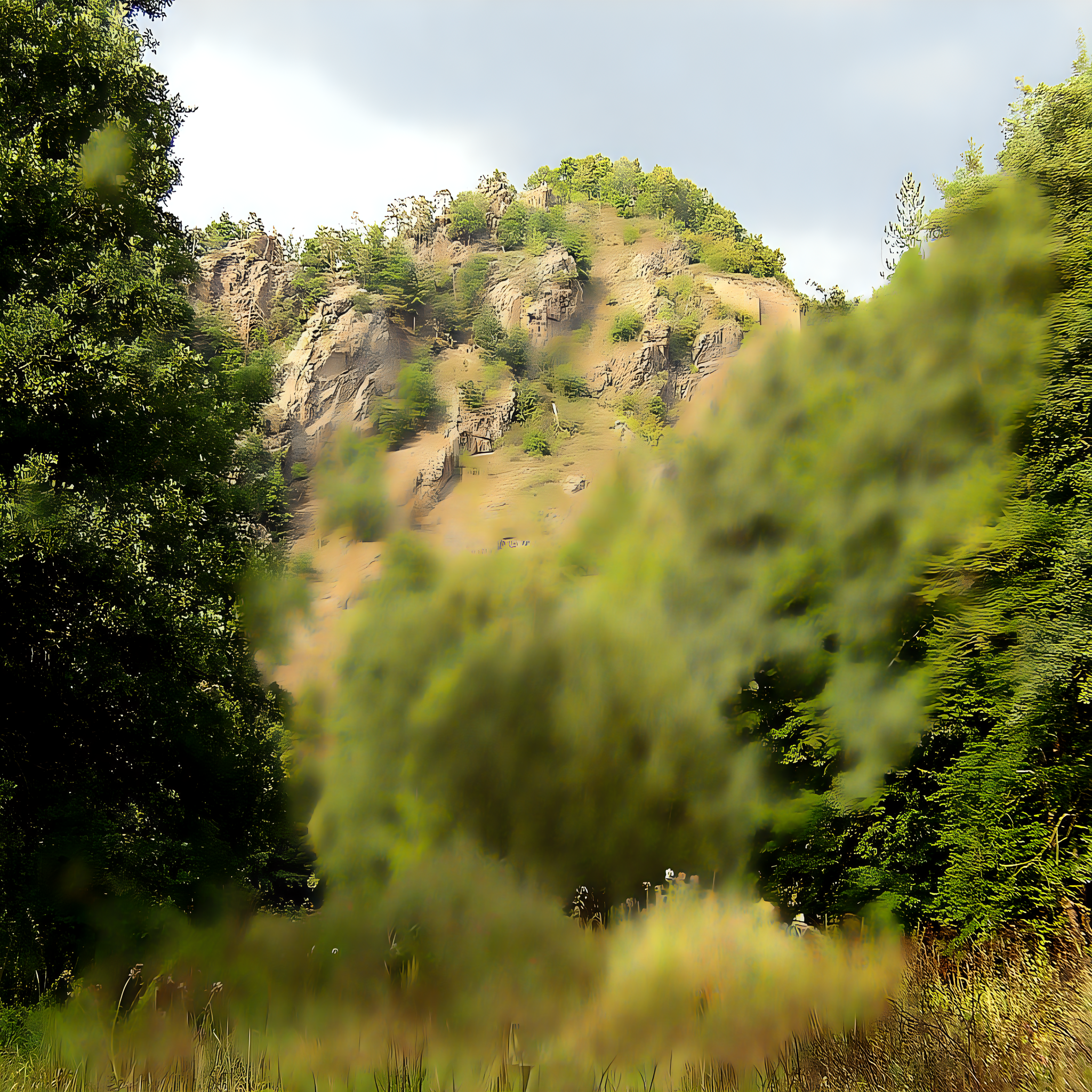 Levnov