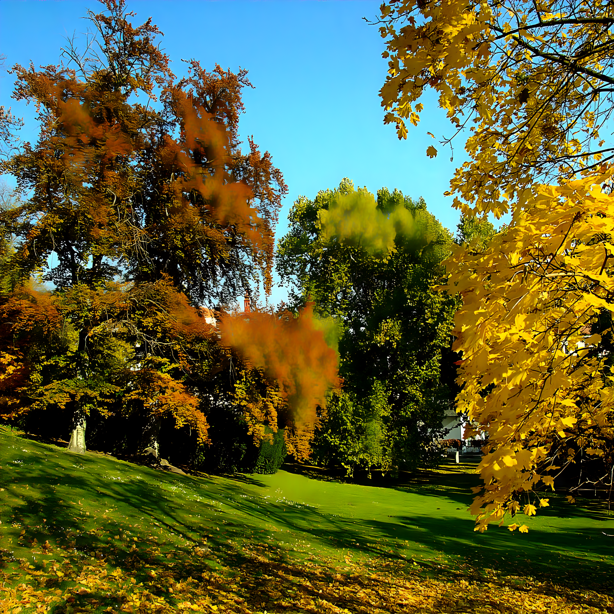
<span>Kinského zahrada</span>
