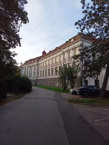 Fotografie