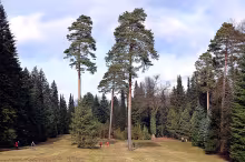 Arboretum Řícmanice