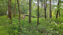 Žďár (Žďár)