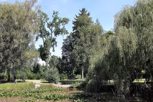 Městský park