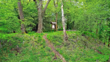 Hradiště (Bílá Studně)