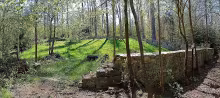 Židovský hřbitov v Protivíně