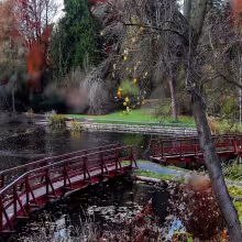Arboretum Bílá Lhota