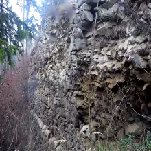 Kožlí