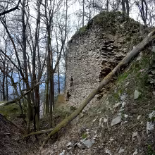 Litýš
