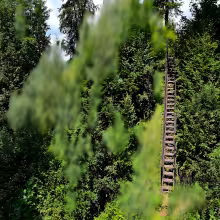 Velešov