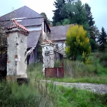 Žikov