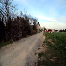Bodláková