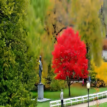 Dvořákovy sady (Karlovy Vary)