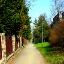 Janáčkovo stromořadí