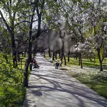 Vojanovy sady