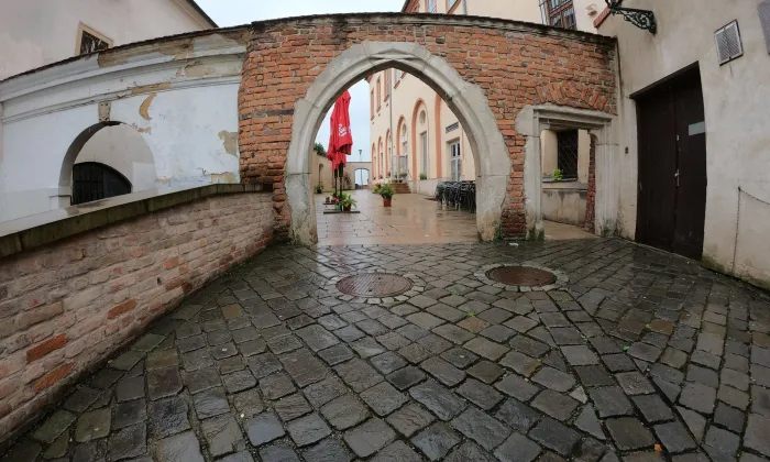 Biskupský dvůr