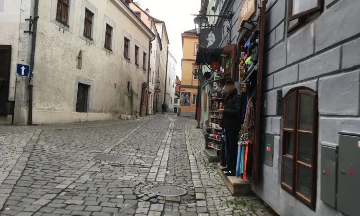 Dlouhá 31
