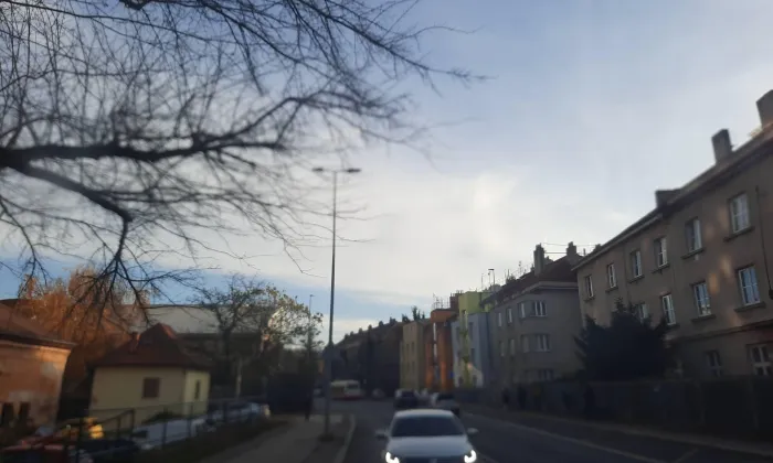 Dominikánský dvůr v Braníku