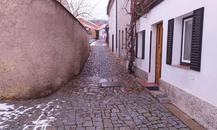 Duslova vila v Berouně