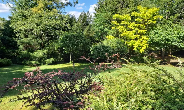 Arboretum Josefa Eberta