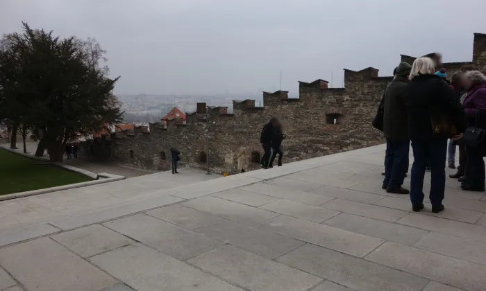 Nový královský palác