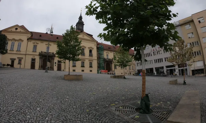 Dům pánů z Kunštátu