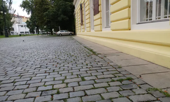 Palác Žofín