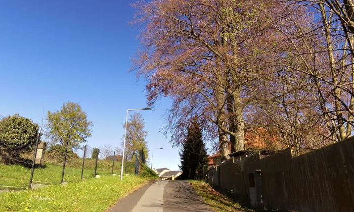 Hřbitovní kaple (Dolní Poustevna)