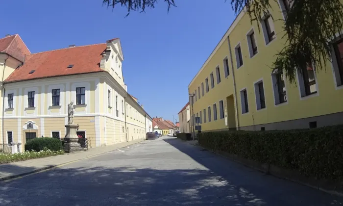 Kostel Nanebevzetí Panny Marie (Strážnice)
