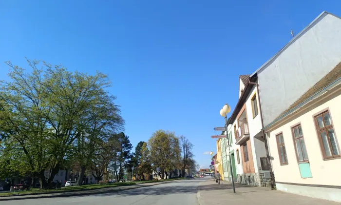 Kostel Navštívení Panny Marie (Borovany)