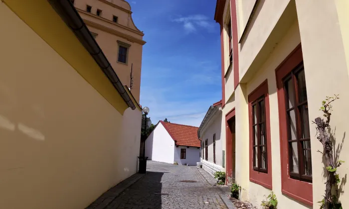 Kostel svatých Petra a Pavla v Mělníku